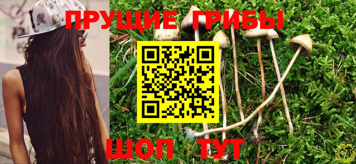 Галлюциногенные грибы мухоморы Юрга